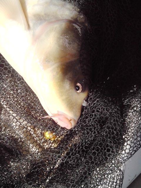 Sulina sept. 2013 - part. I - img20130918133227.jpg